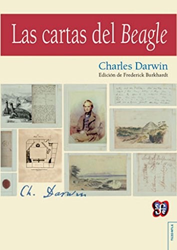 Papel LAS CARTAS DEL BEAGLE