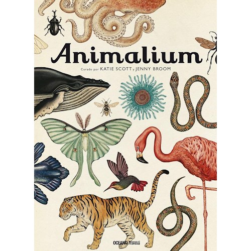 Papel ANIMALIUM