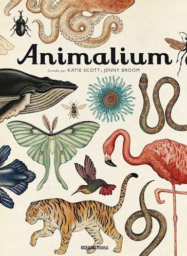  Animalium