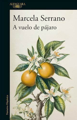 Papel A Vuelo De Pajaro