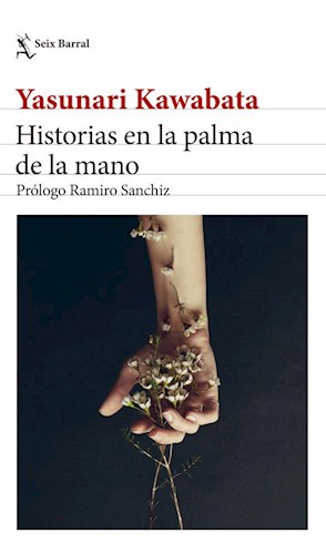 Papel Historias En La Palma De La Mano (Ne)