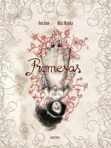  Promesas
