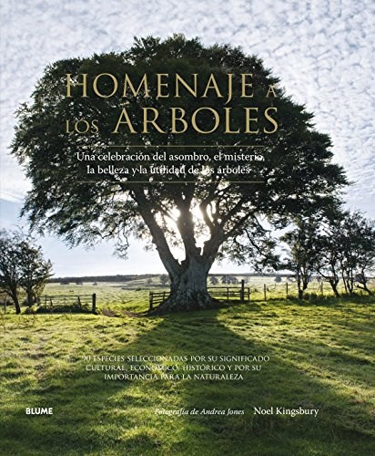  Homenaje A Los Arboles