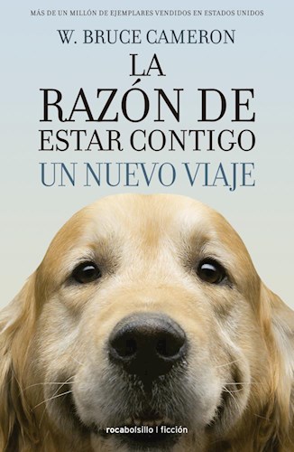  Razon De Estar Contigo  Un Nuevo Viaje