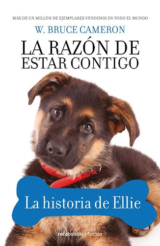  Razon De Estar Contigo  La  La Historia De Ellie