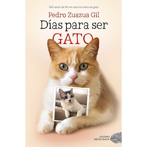 Papel DÍAS PARA SER GATO