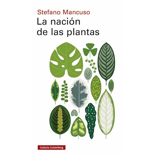 Papel LA NACIÓN DE LAS PLANTAS
