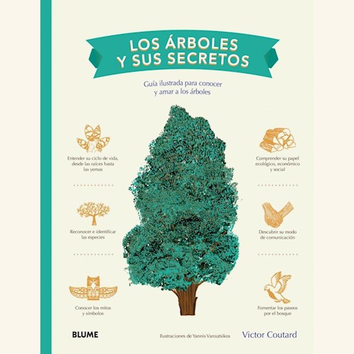 Papel LOS ÁRBOLES Y SUS SECRETOS