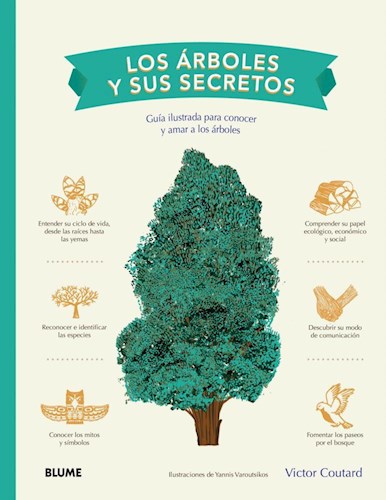 Papel Arboles Y Sus Secretos, Los