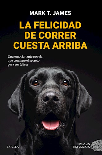  Felicidad De Correr Cuesta Arriba  La