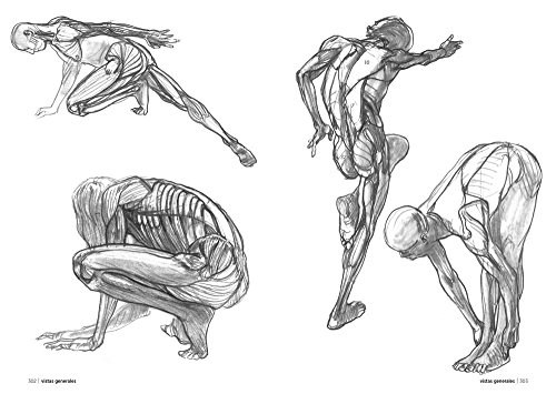 Papel ANATOMÍA ARTÍSTICA