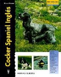  Cocker Spaniel Ingles