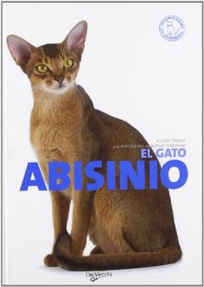 Papel EL GATO ABISINIO