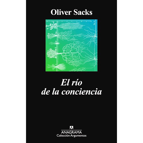 Papel EL RÍO DE LA CONCIENCIA