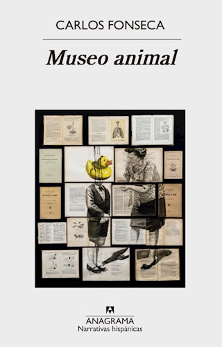  Museo Animal