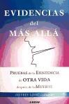 Papel EVIDENCIAS DEL MAS ALLA