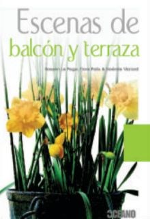  Escenas De Balcon Y Terraza