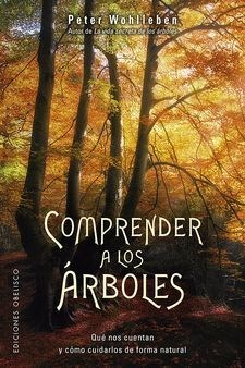 Papel Comprender A Los Arboles