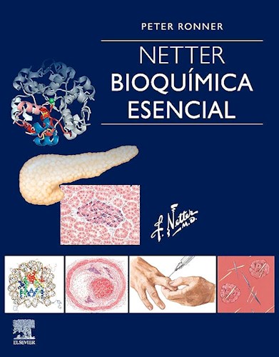 Papel Netter Bioquimica Esencial
