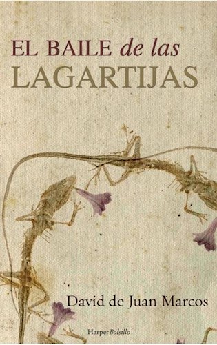  Baile De Las Lagartijas  El
