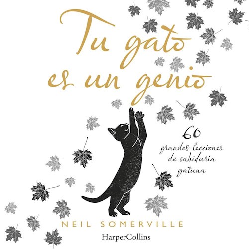 Papel TU GATO ES UN GENIO