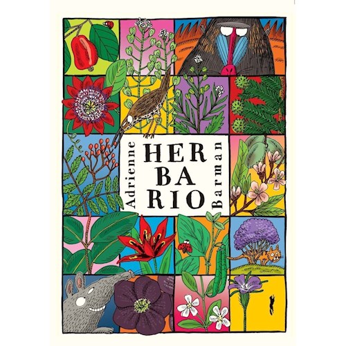 Papel HERBARIO