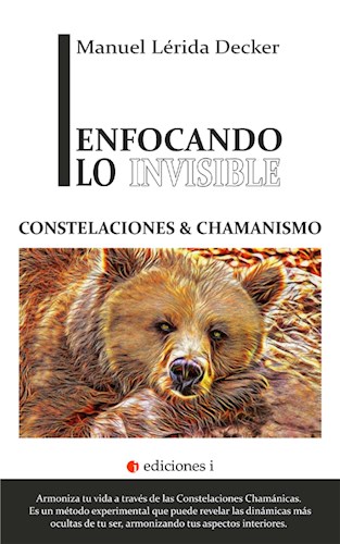 E-book Enfocando Lo Invisible