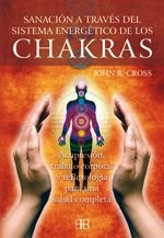  Chakras  Sanacion A Traves Del Sistema Energitico De Los