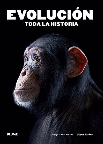Papel EVOLUCION TODA LA HISTORIA