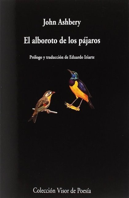 Papel EL ALBOROTO DE LOS PÁJAROS
