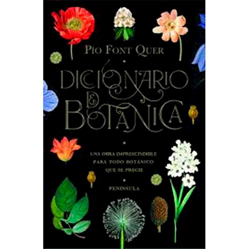  Diccionario De Botanica