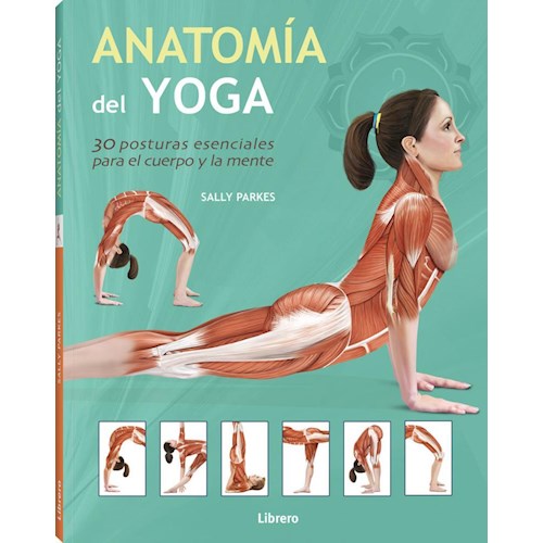 Papel ANATOMIA DEL YOGA