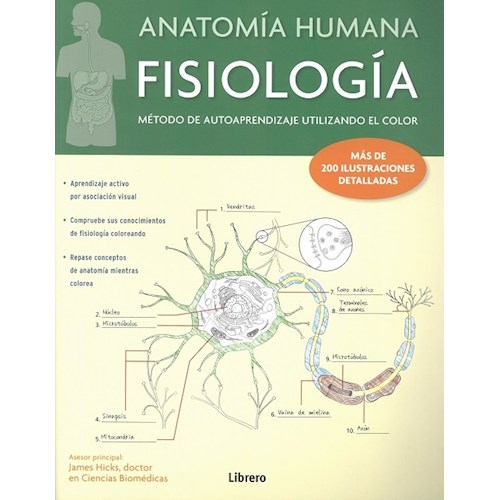 Papel ANATOMÍA HUMANA FISIOLOGÍA