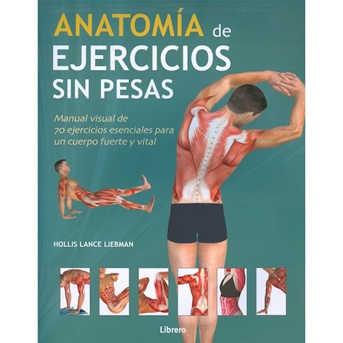 Papel ANATOMIA DE EJERCICIOS SIN PESAS