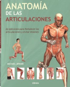 Papel ANATOMÍA DE LAS ARTICULACIONES
