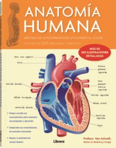 Papel ANATOMÍA HUMANA