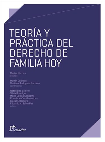 E-book Teoría y práctica del derecho de familia hoy