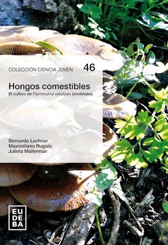 Papel HONGOS COMESTIBLES
