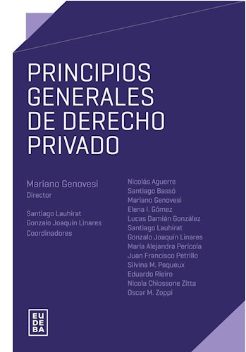 E-book Principios generales de derecho privado
