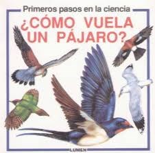  Como Vuela Un Pajaro