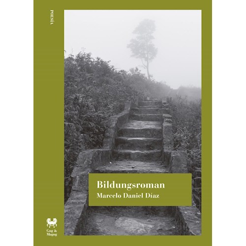 Papel BILDUNGSROMAN