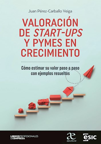Papel Valoración De Start-Ups Y Pymes En Crecimiento
