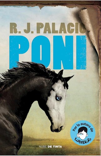  Poni