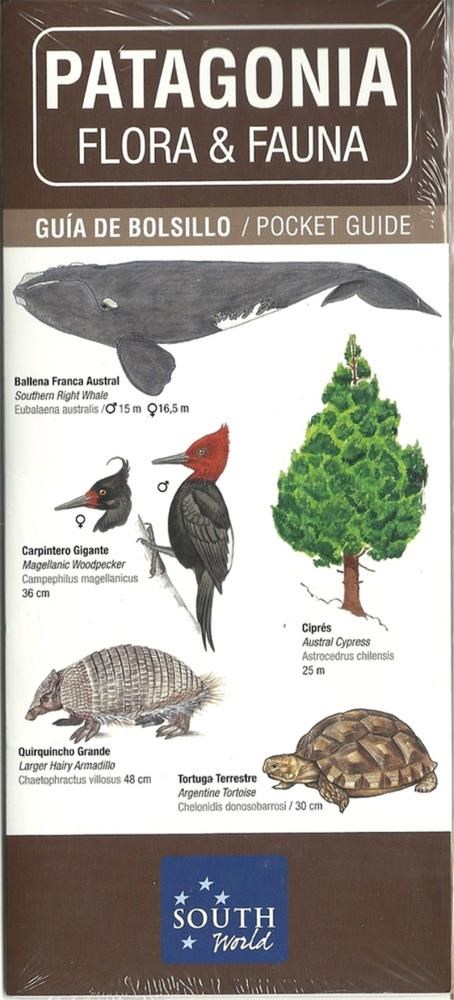 Papel PATAGONIA - FLORA Y FAUNA