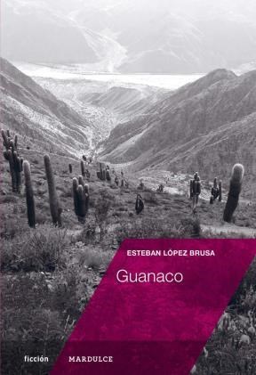 Papel GUANACO