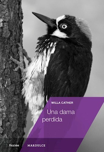 Papel UNA DAMA PERDIDA