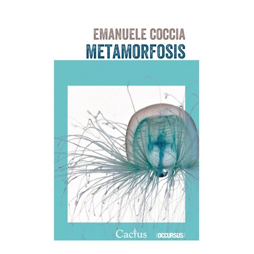 Papel METAMORFOSIS