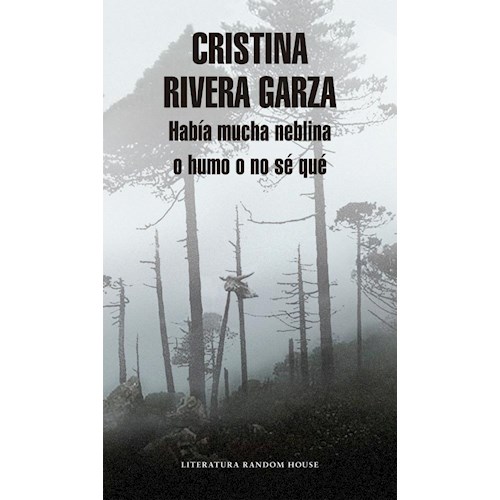 Papel HABÍA MUCHA NEBLINA O HUMO O NO SE QUÉ