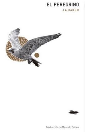 Papel EL PEREGRINO