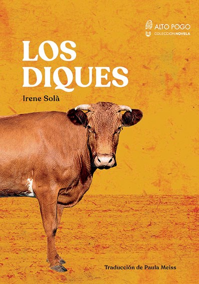 Papel LOS DIQUES